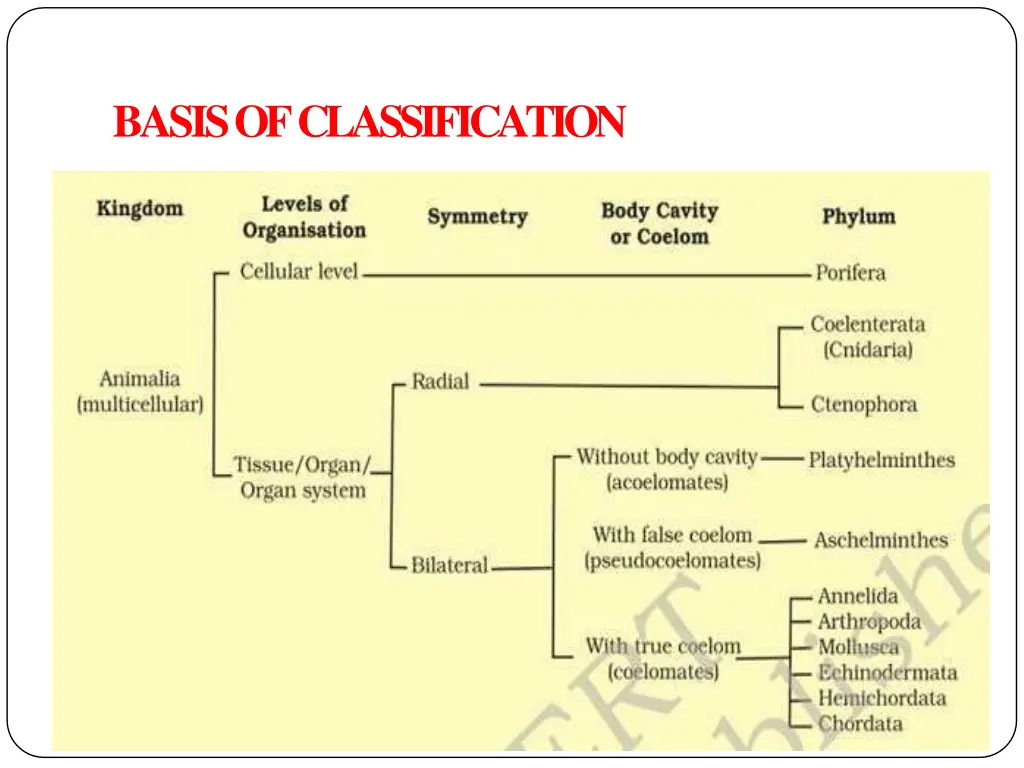 basis ofclassification