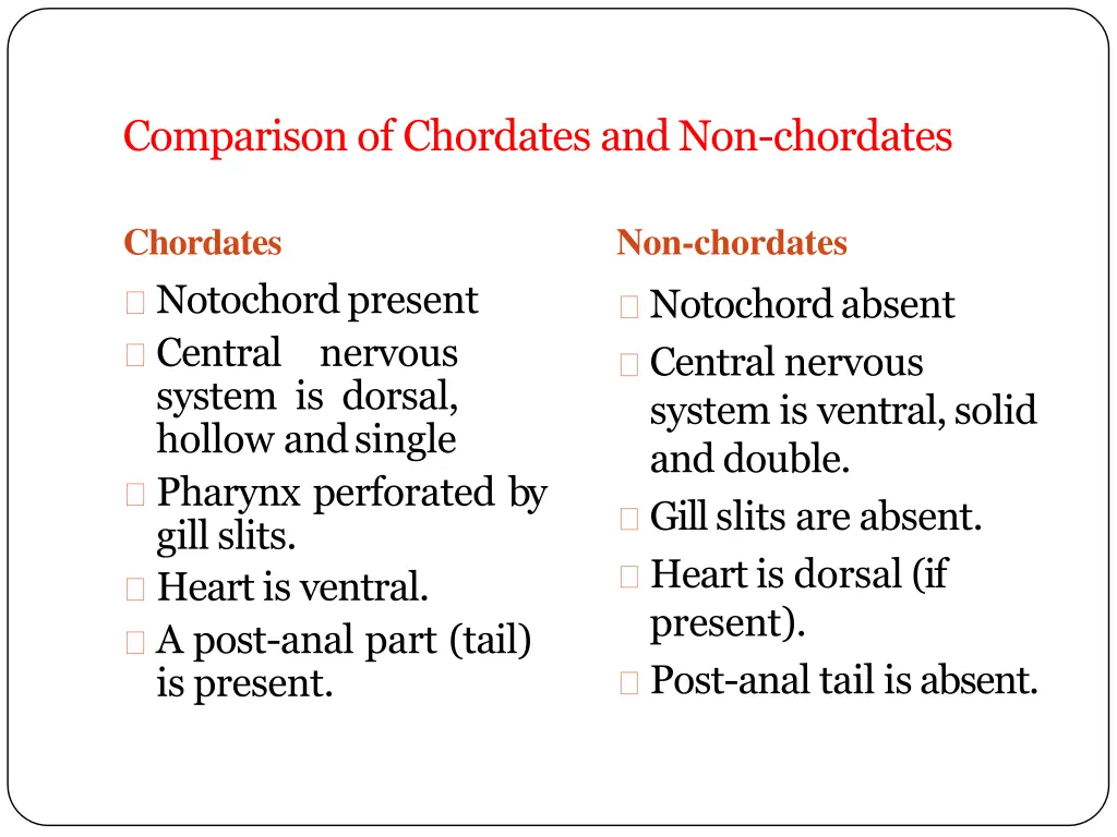 comparison of chordates andnon chordates