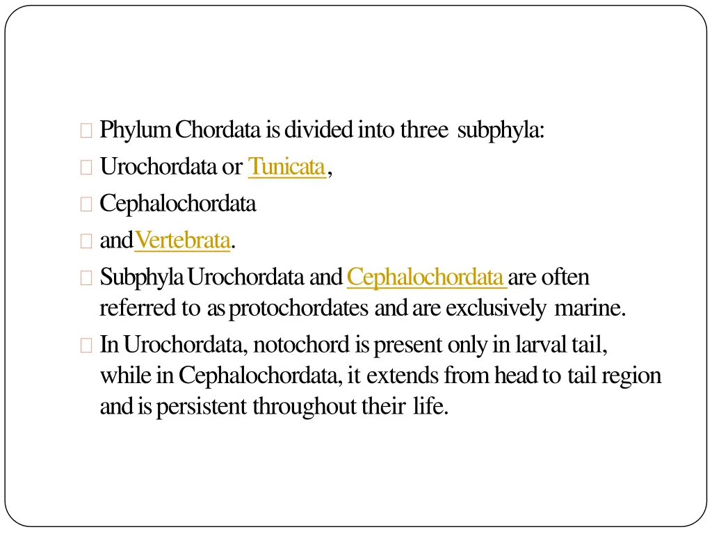 phylum chordata is divided into three subphyla