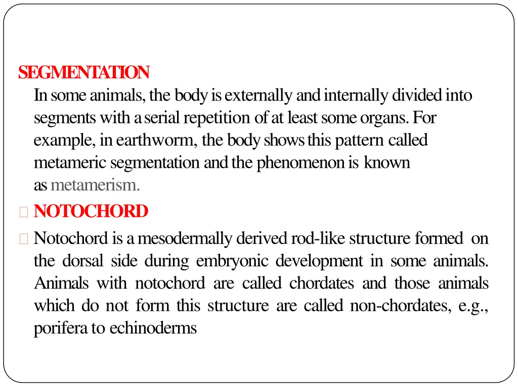 segmentation in some animals the body