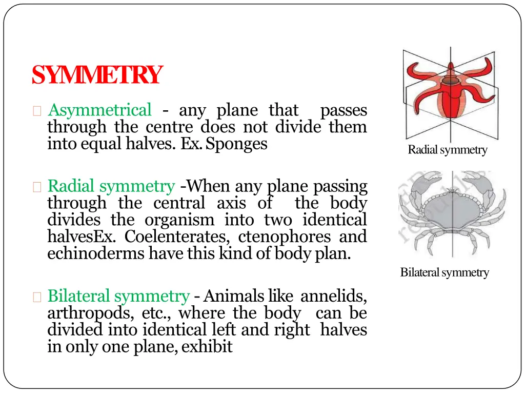 symmetry