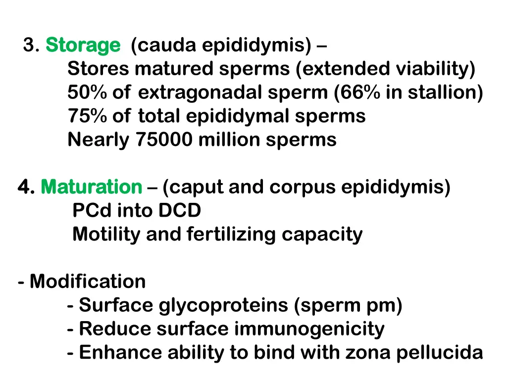 3 storage storage cauda epididymis stores matured