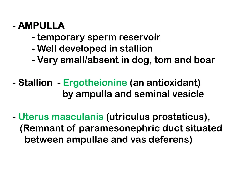 ampulla ampulla temporary sperm reservoir well