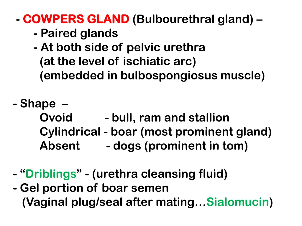 cowpers gland cowpers gland bulbourethral gland