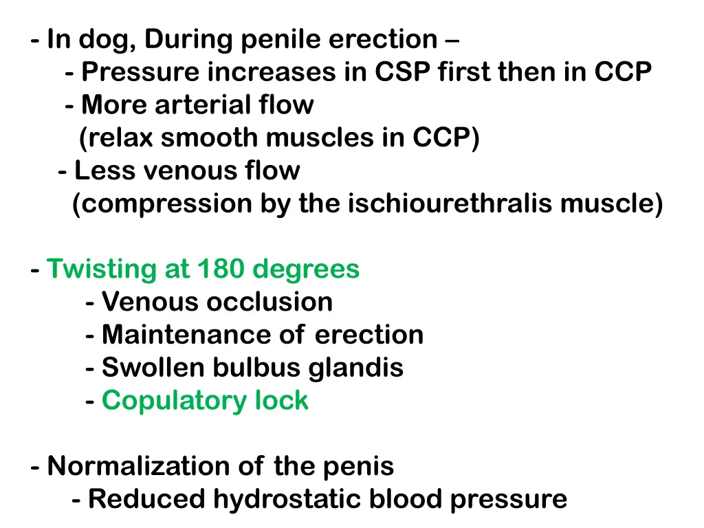 in dog during penile erection pressure increases