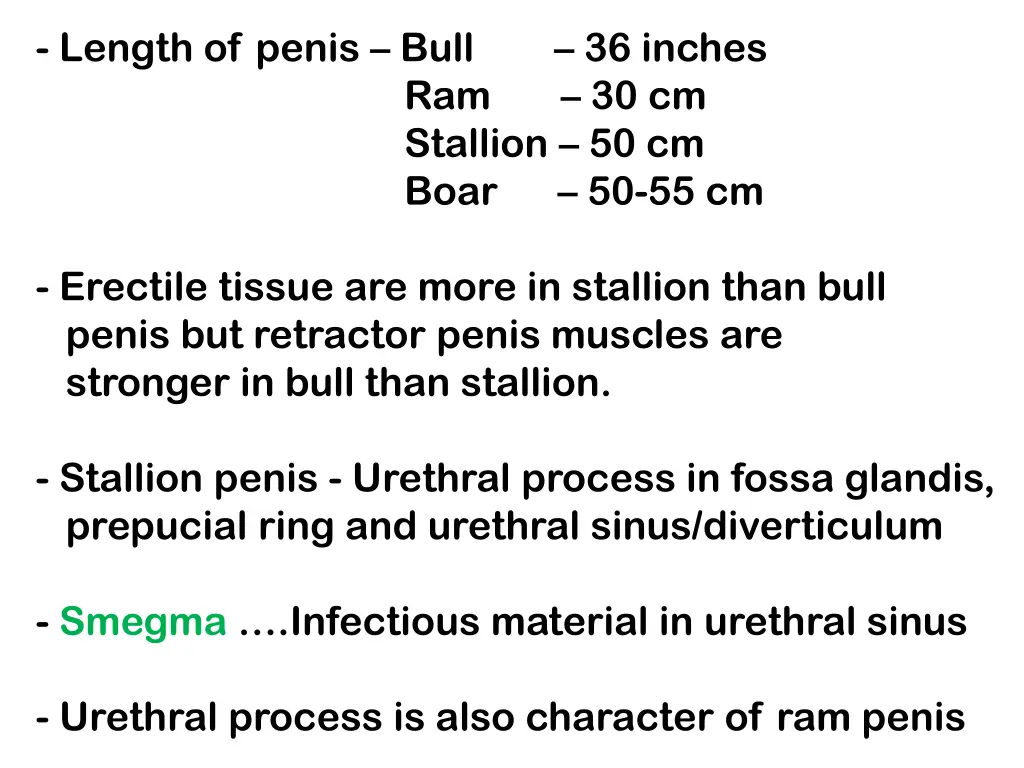 length of penis bull 36 inches ram 30 cm stallion