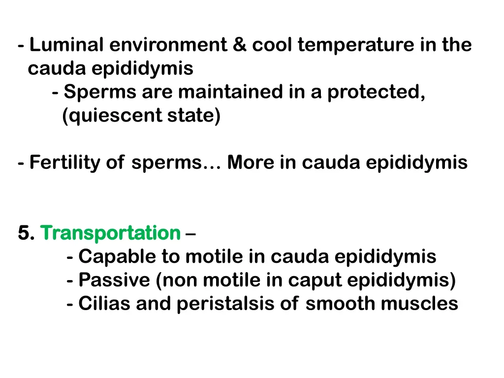 luminal environment cool temperature in the cauda