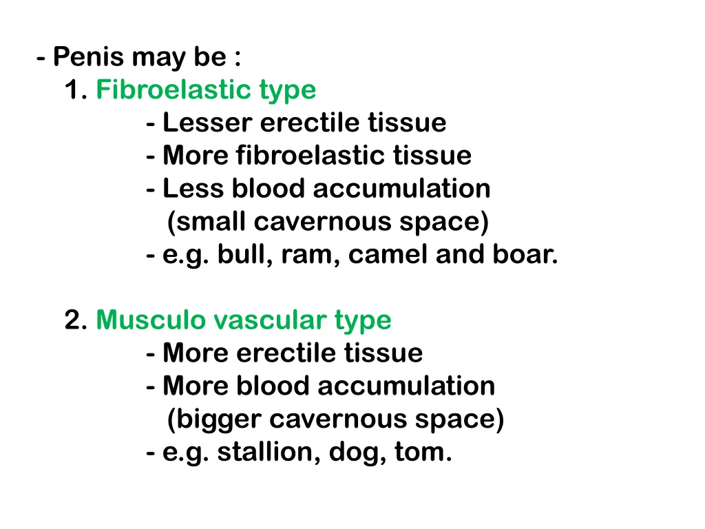 penis may be 1 fibroelastic type lesser erectile