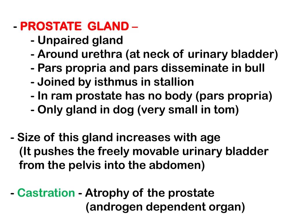 prostate gland prostate gland unpaired gland