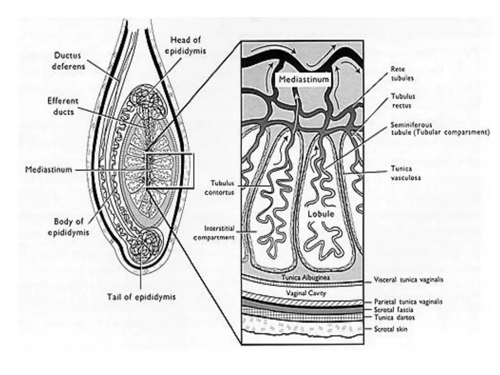 slide28