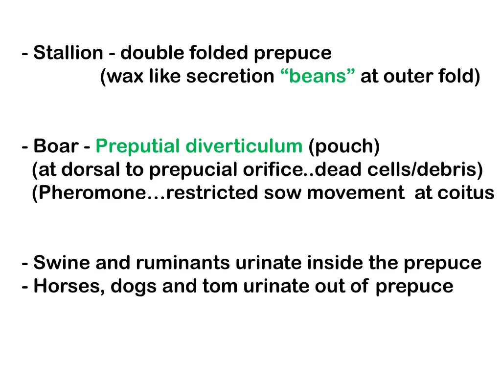 stallion double folded prepuce wax like secretion