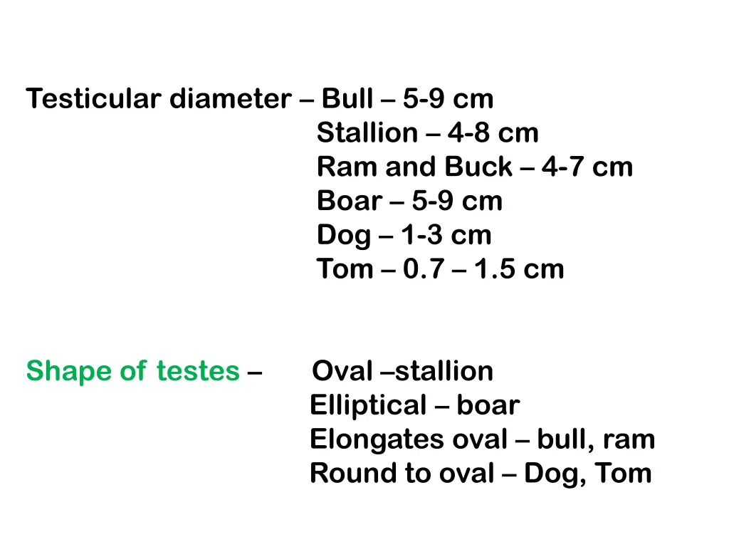 testicular diameter bull 5 9 cm stallion