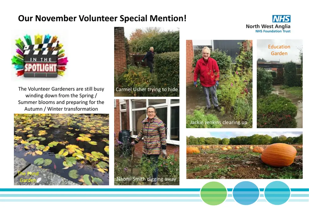 our november volunteer special mention 2