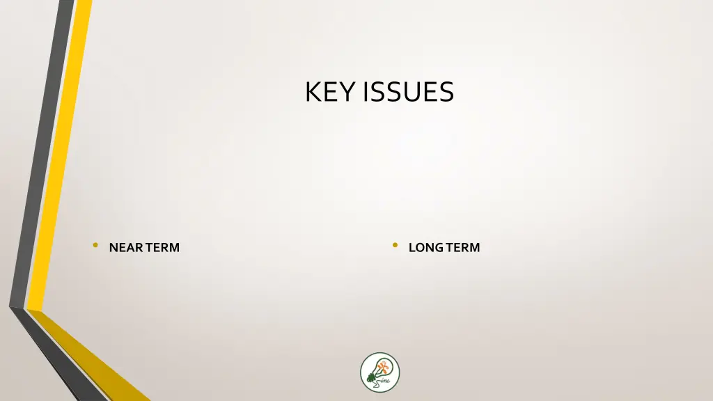 key issues