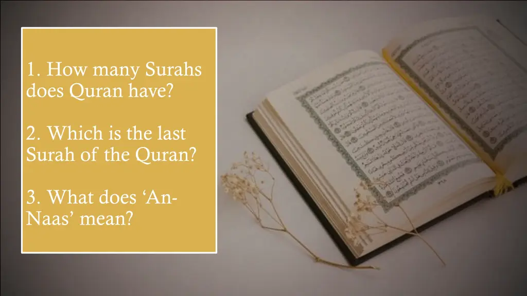 1 how many surahs does quran have