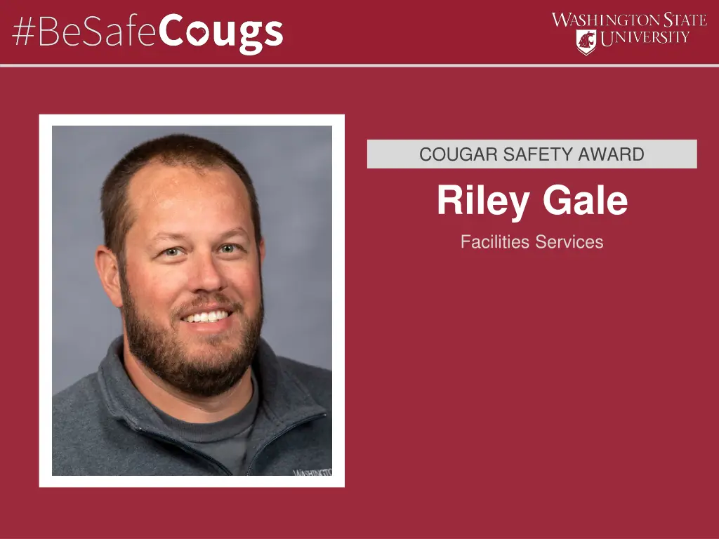 cougar safety award