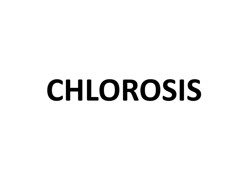 chlorosis