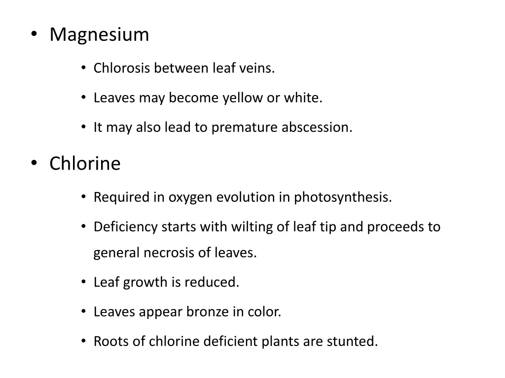 magnesium