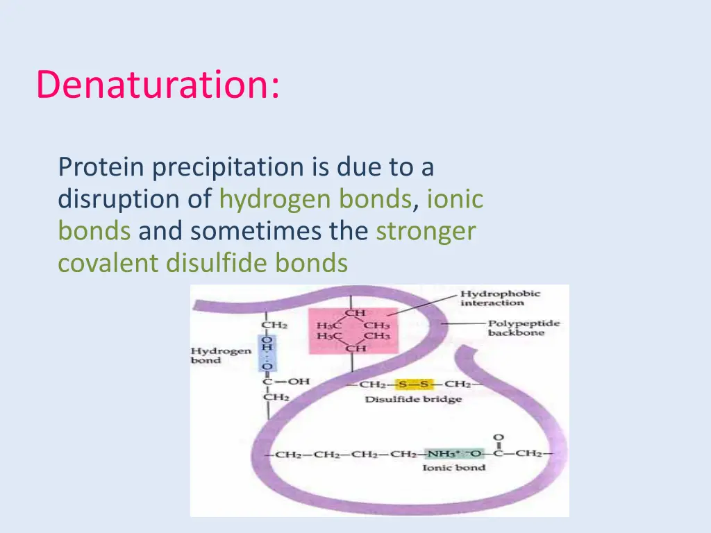 denaturation 1