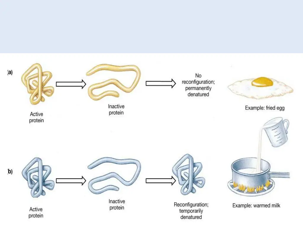 slide11