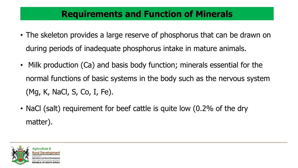 requirements and function of minerals 3