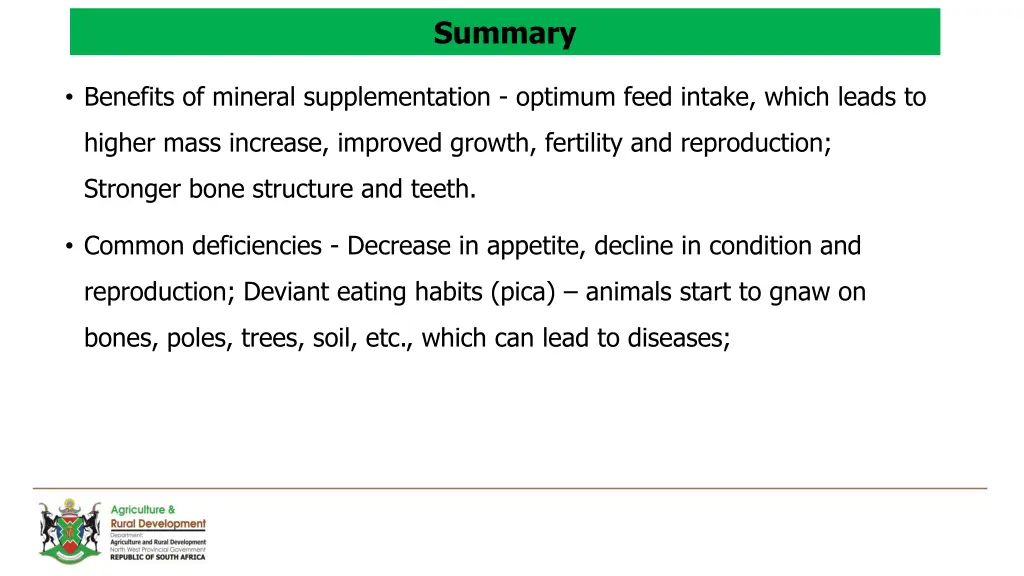 summary