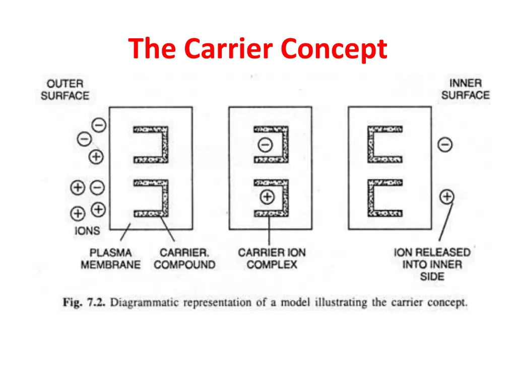 the carrier concept 1