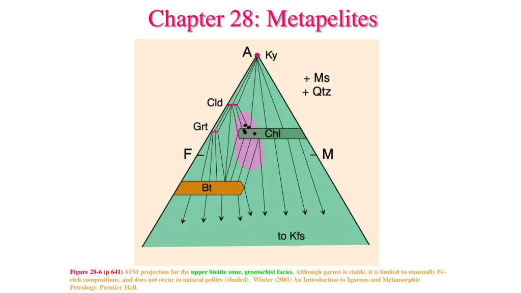 chapter 28 metapelites 1