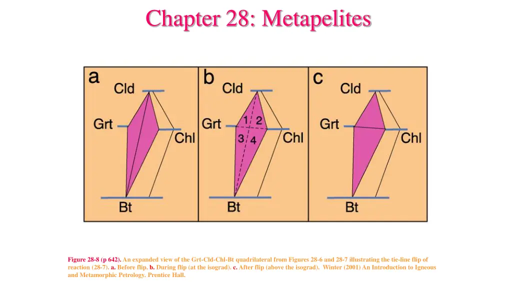 chapter 28 metapelites 3