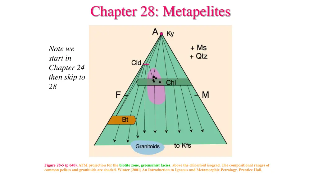 chapter 28 metapelites