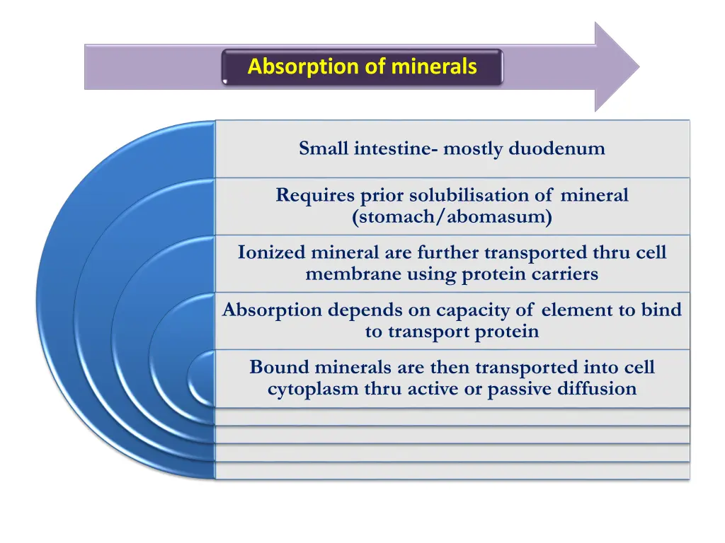 absorption of minerals