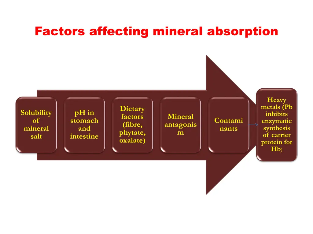 factors affecting mineral absorption