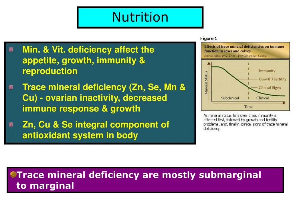 nutrition