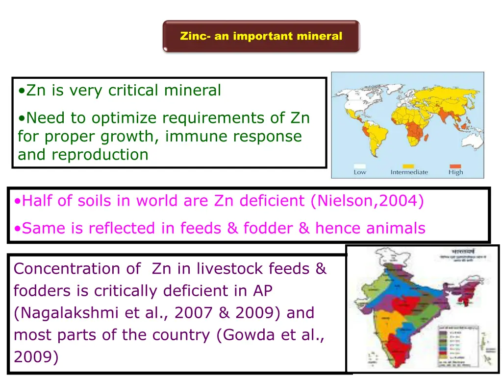 zinc an important mineral