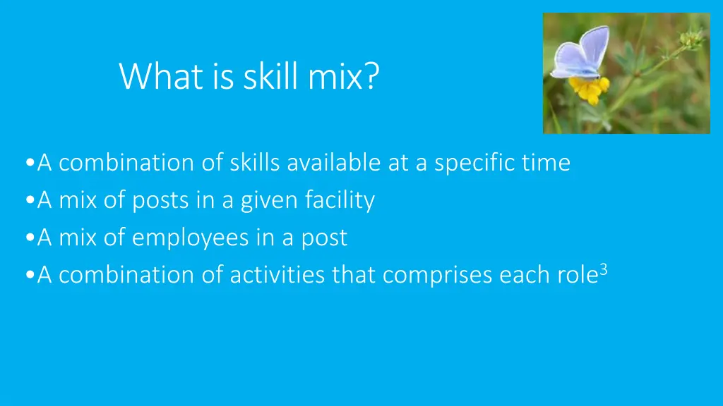 what is skill mix