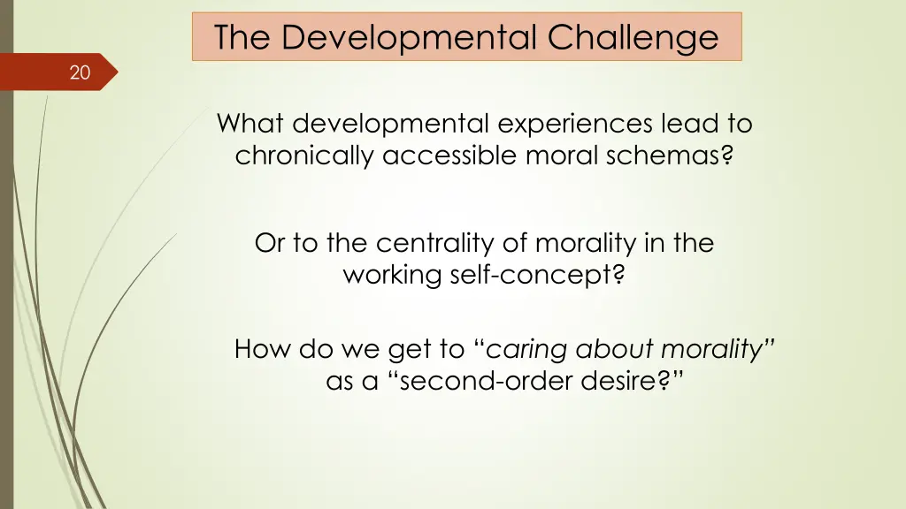 the developmental challenge