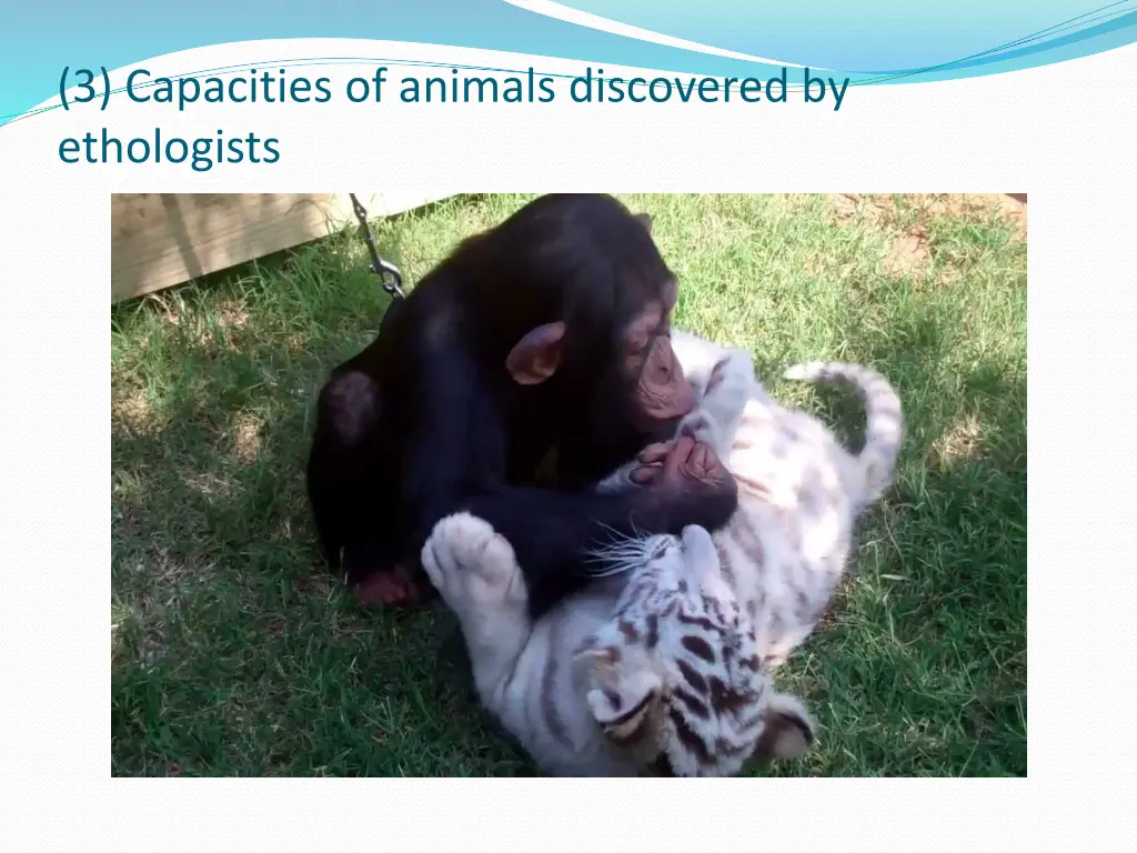 3 capacities of animals discovered by ethologists