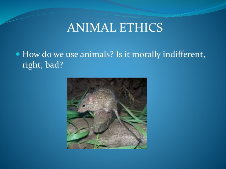 animal ethics