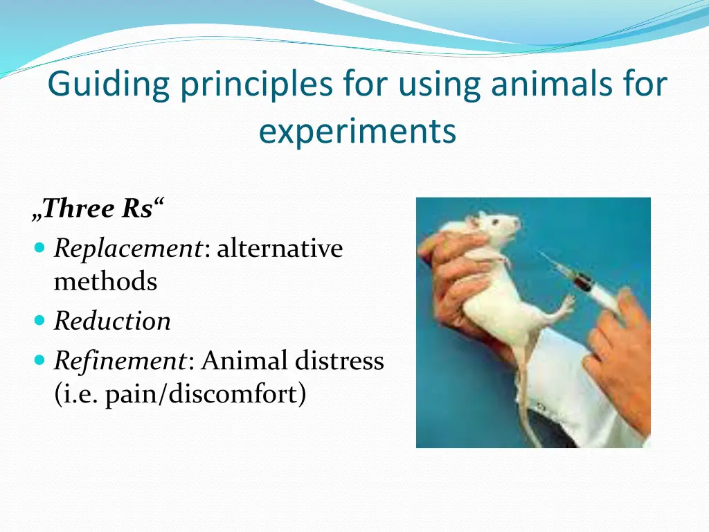 guiding principles for using animals