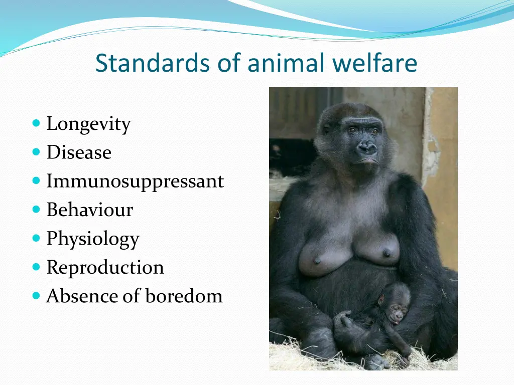 standards of animal welfare