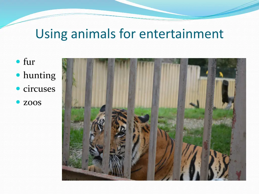 using animals for entertainment