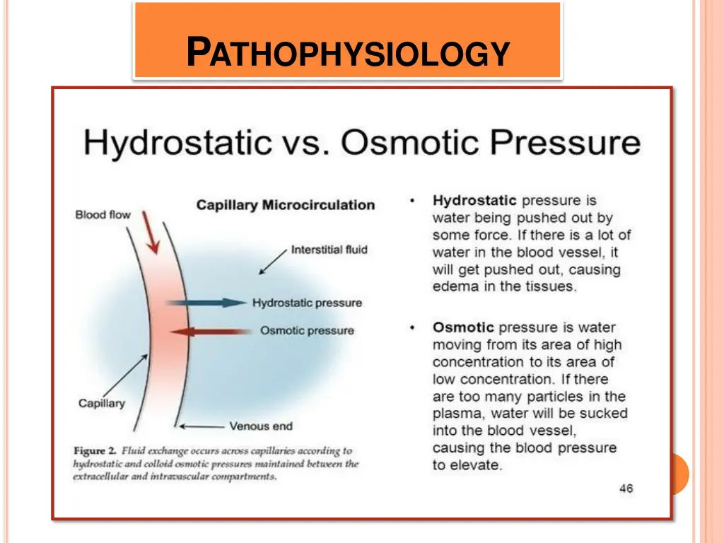 p athophysiology