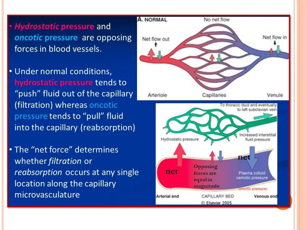 slide7