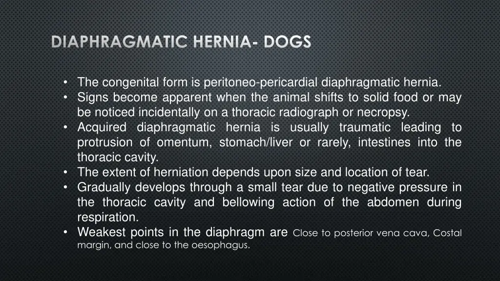 diaphragmatic hernia dogs