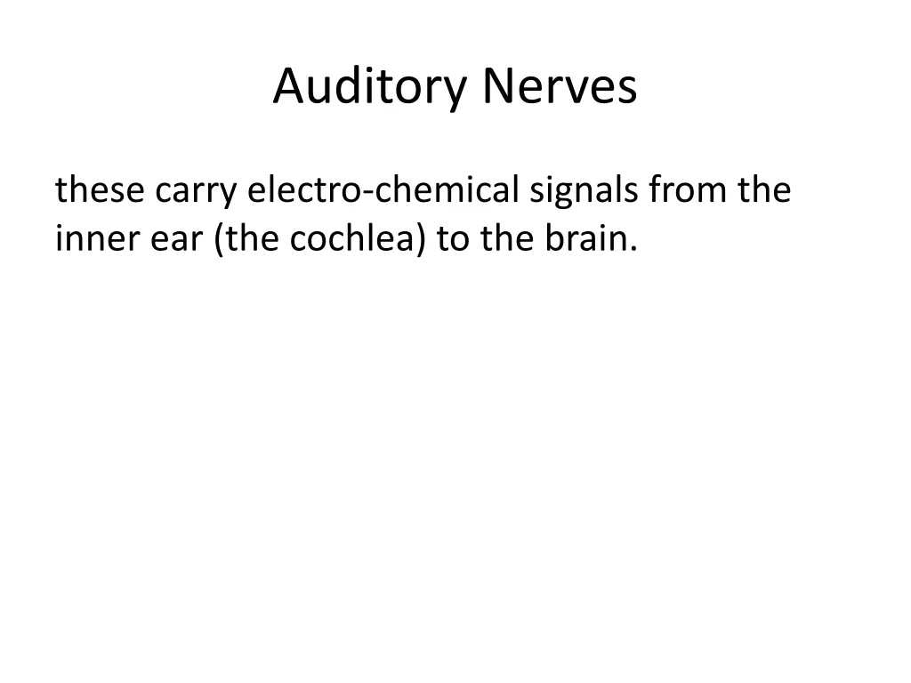 auditory nerves