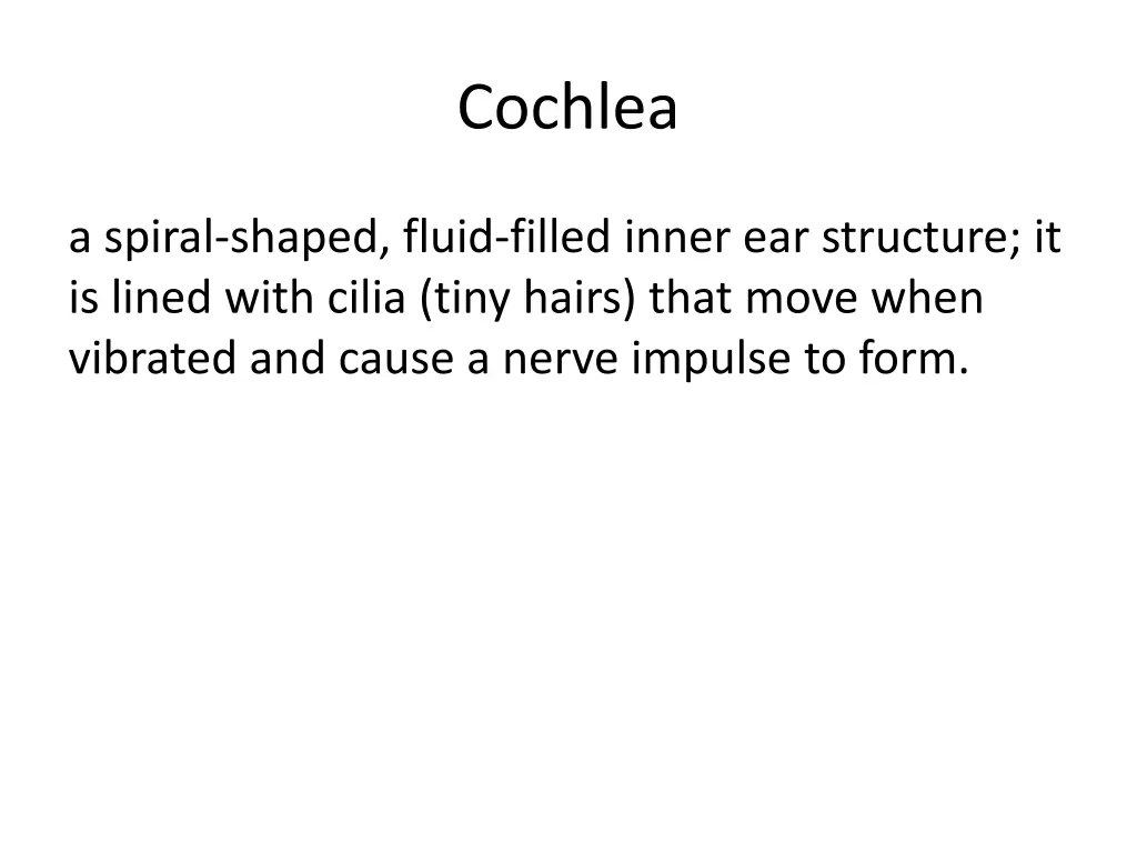 cochlea