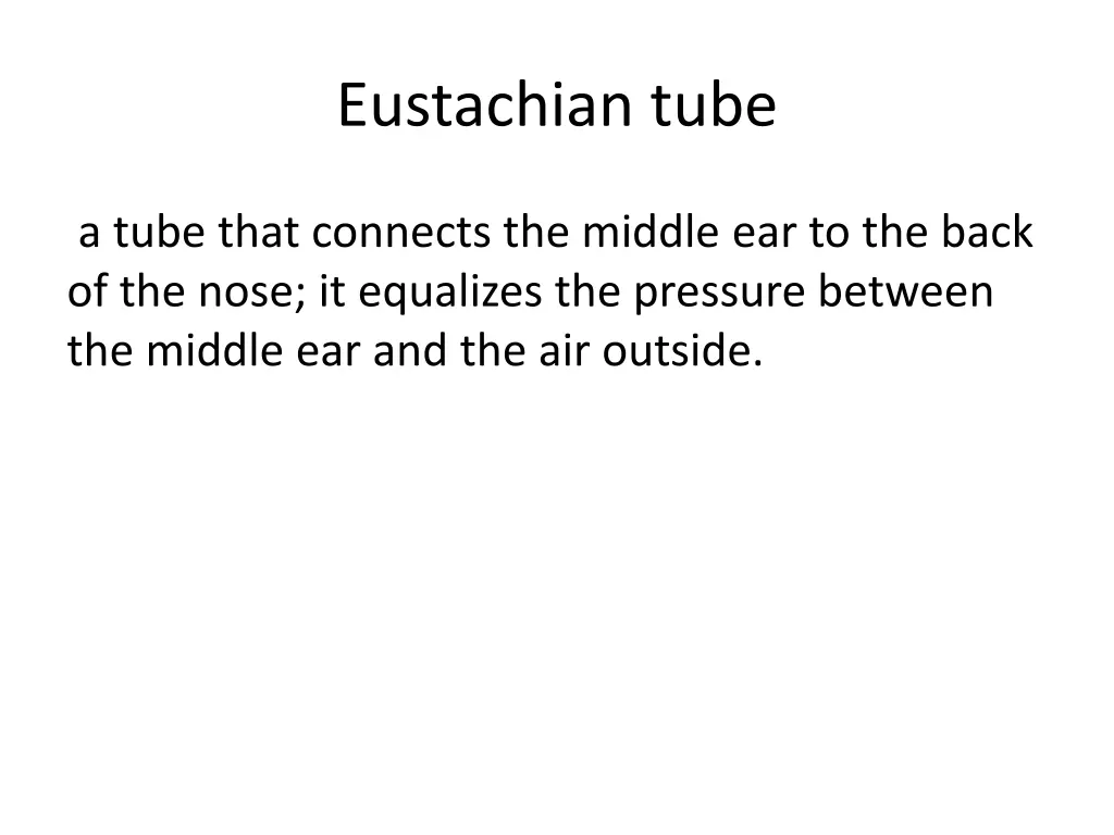 eustachian tube