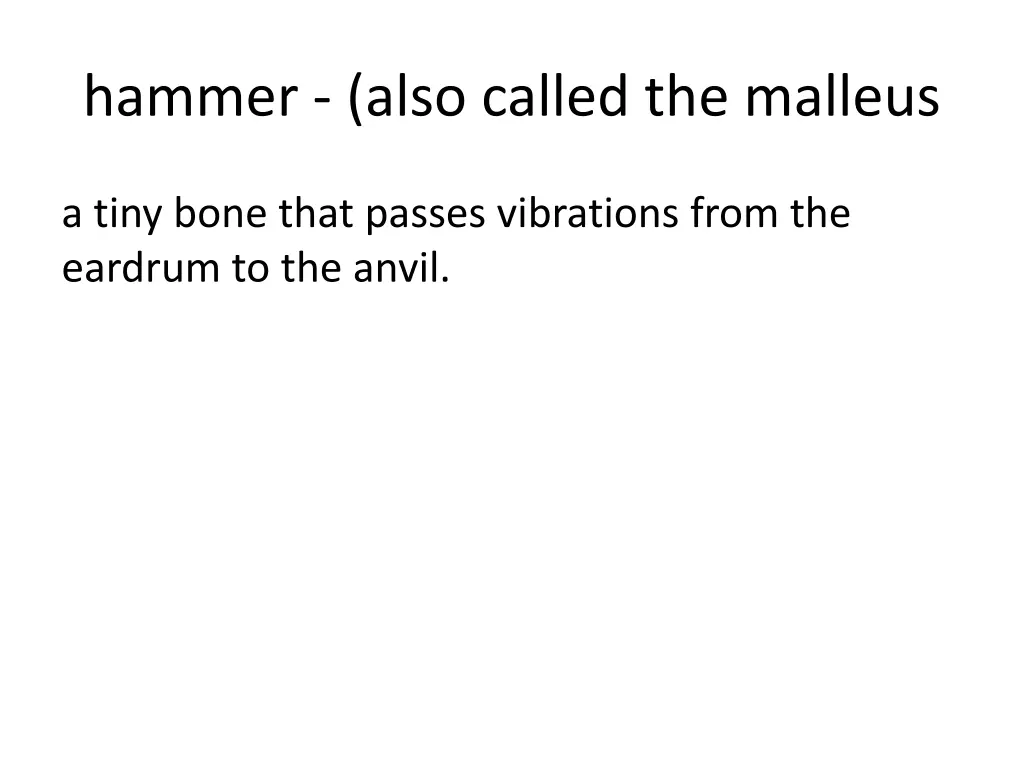 hammer also called the malleus