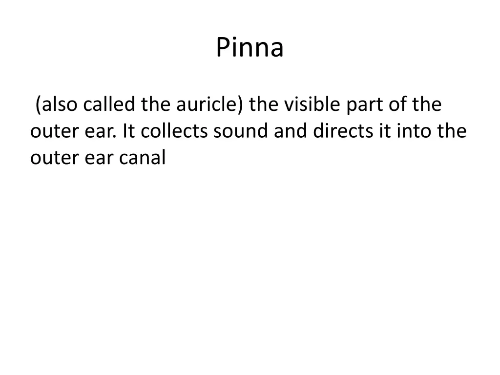 pinna