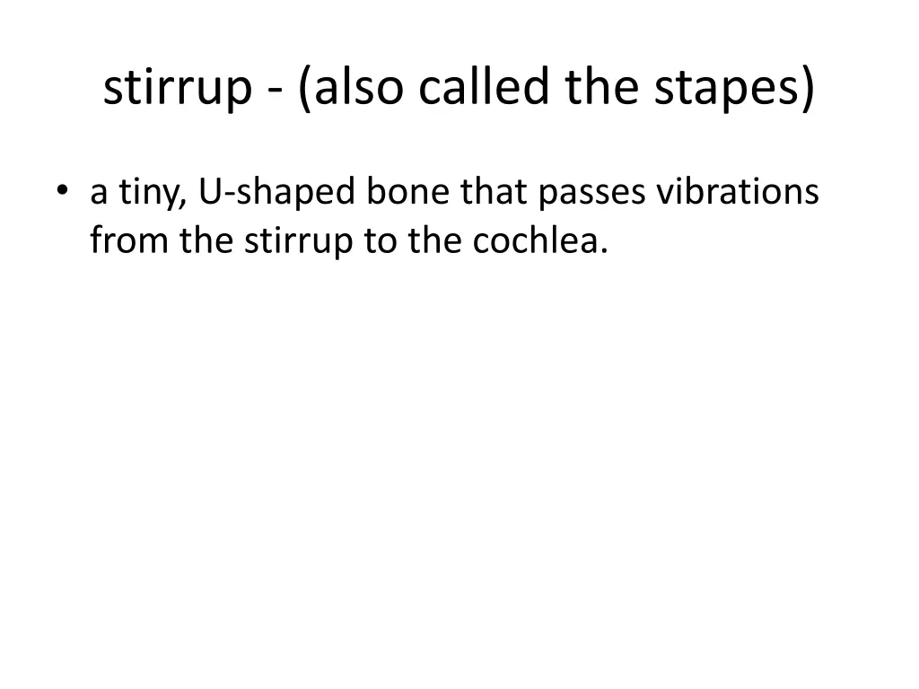 stirrup also called the stapes